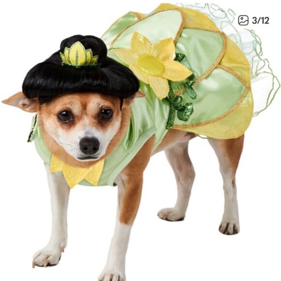 Disney Tails | NO WIG Princess Tiana Pet costume | Size Medium - Picture 1 of 7